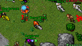 Vern'Kex on screen