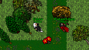 Edav on screen