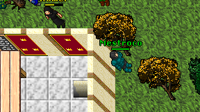 Mestroco on screen