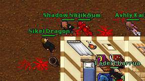 Nikel Dragon on screen