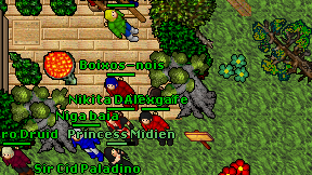 Alexgafe on screen