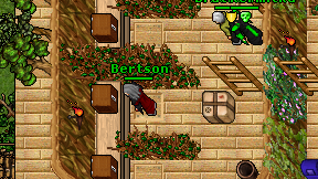 Bertson on screen