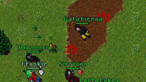 Gata Fieraa on screen