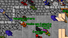 Cachopa on screen