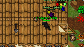 Enigmatico on screen
