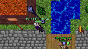 Fortifixn ska on screen