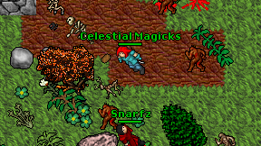 Celestial Magicks on screen