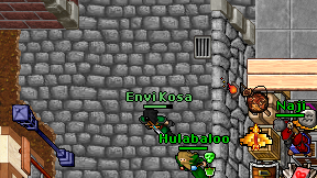 Envi Kosa on screen