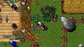 Don Hazox on screen