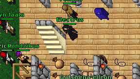 Electrus on screen