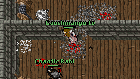 Gauchinanguito on screen