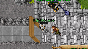 Elpolacate on screen