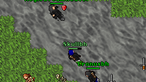 Skullbh on screen