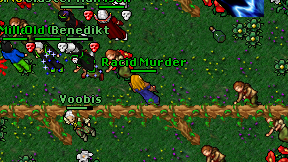 Racid Murder on screen