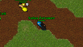 Salus Zarumer on screen