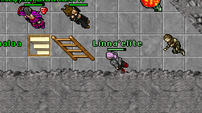 Linna'elite on screen