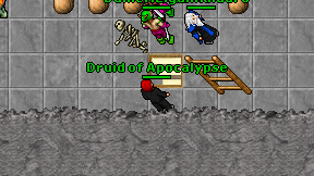 Druid of Apocalypse on screen