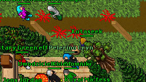 Kutaseek on screen
