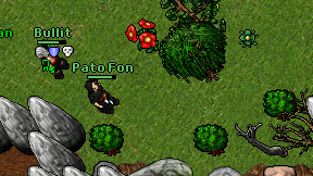 Pato Fon on screen