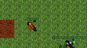 Bopon on screen
