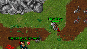 Neytey on screen