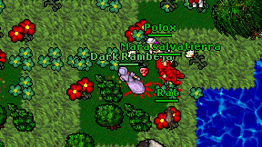 Dark Rambeja on screen