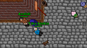 Tiko kinkis on screen