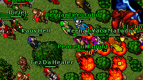 Kaus Hell on screen