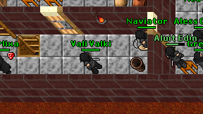 Vali Valki on screen