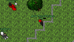 Ark Med Primo on screen