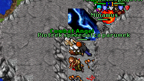 Combat Angel on screen