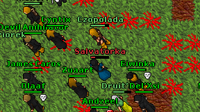 Salvatorka on screen