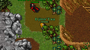 Djinn'Tsu on screen