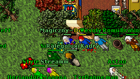 Magiczny-Palladyn on screen