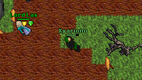Xyariono on screen