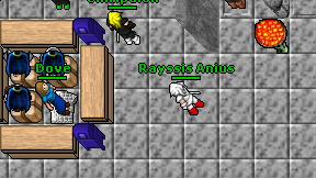 Rayssis Anius on screen