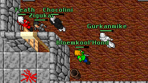 Bloemkool'Hond on screen