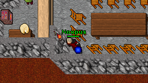 Noxpus on screen