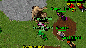 Arcus Vert on screen