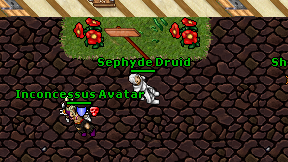 Sephyde Druid on screen