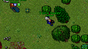 Torn Javer on screen