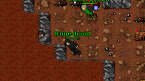 Rune druid on screen