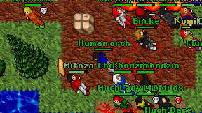 Human orch on screen