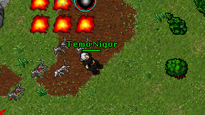 Temo Nigor on screen