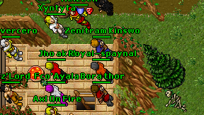 Royal-spaynal on screen