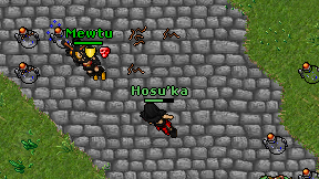 Hosu'ka on screen