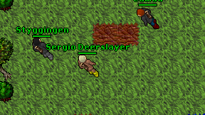 Sergio Deerslayer on screen
