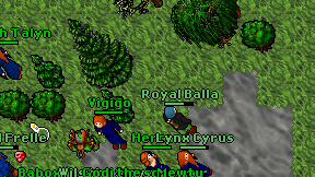 Royal Balla on screen