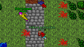 Nikro paladyn on screen