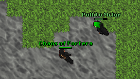 Chaos of Fortera on screen